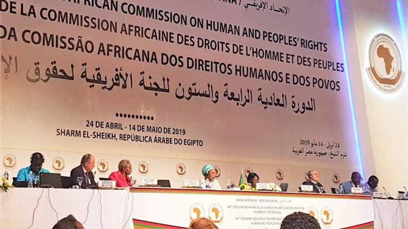 the Committee for the Prevention of Torture in Africa (CPTA) of the African Commission on Human and Peoples’ Rights, together with the Convention against Torture Initiative (CTI)